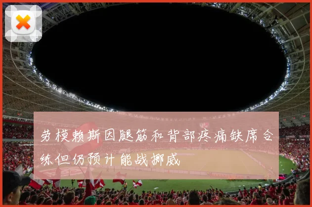 劳模赖斯因腿筋和背部疼痛缺席合练但仍预计能战挪威